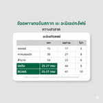 ชาเขียวคั่วโฮจิฉะ