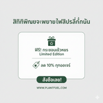 ชาเขียวคั่วโฮจิฉะ